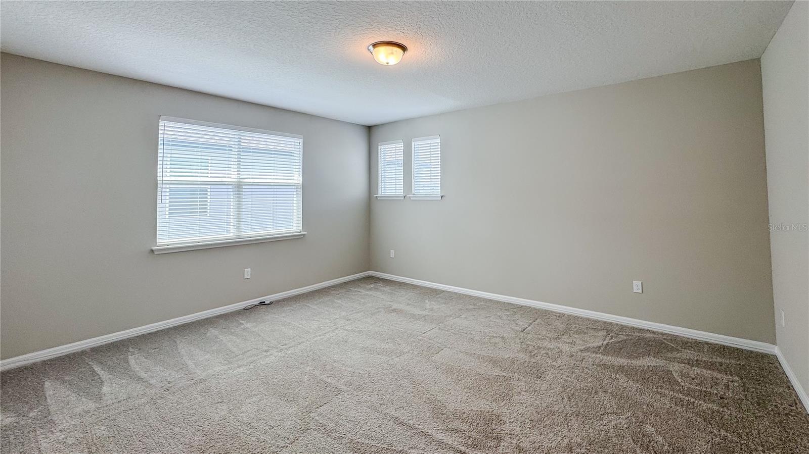 Image 19 of 29 For 9917 Summerlake Groves Street