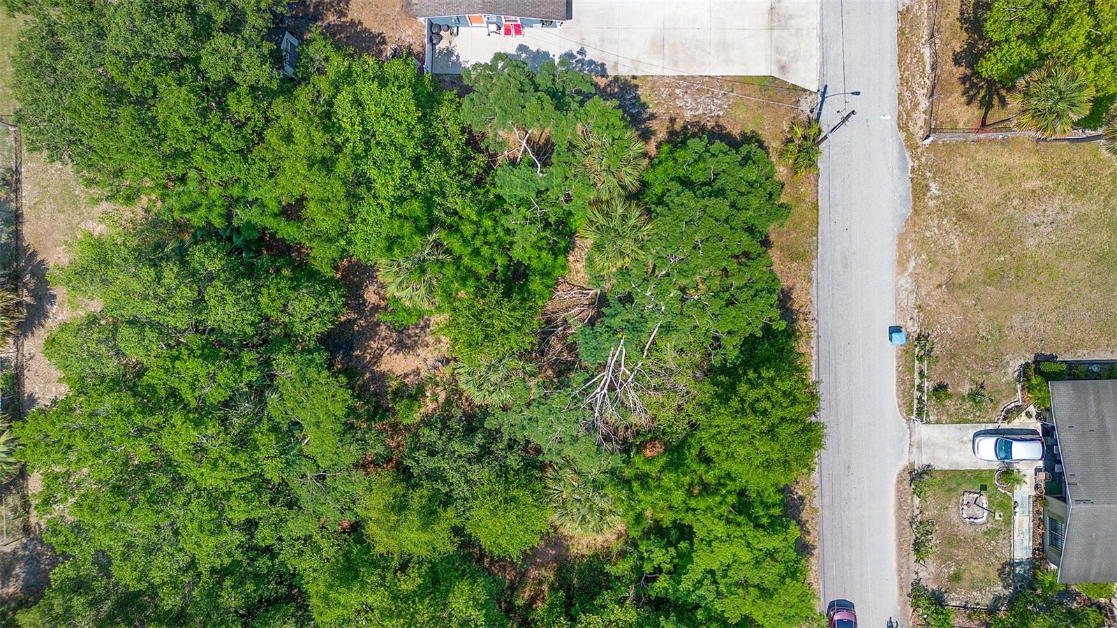 Image 4 of 10 For 909 12th Street