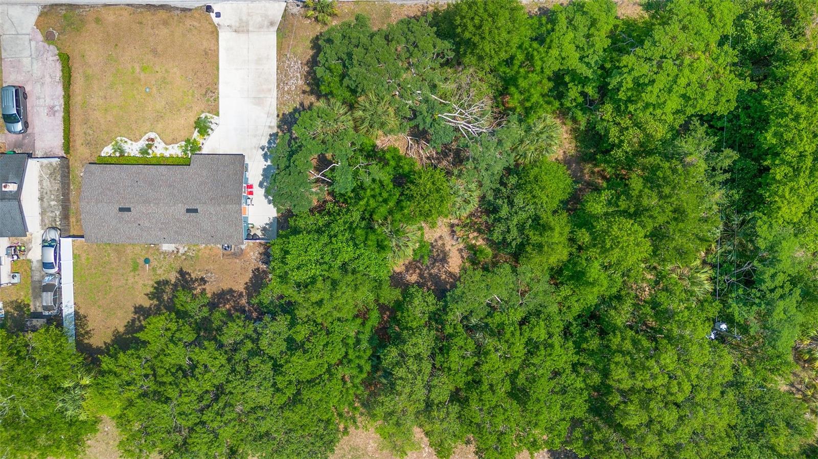 Image 5 of 10 For 909 12th Street