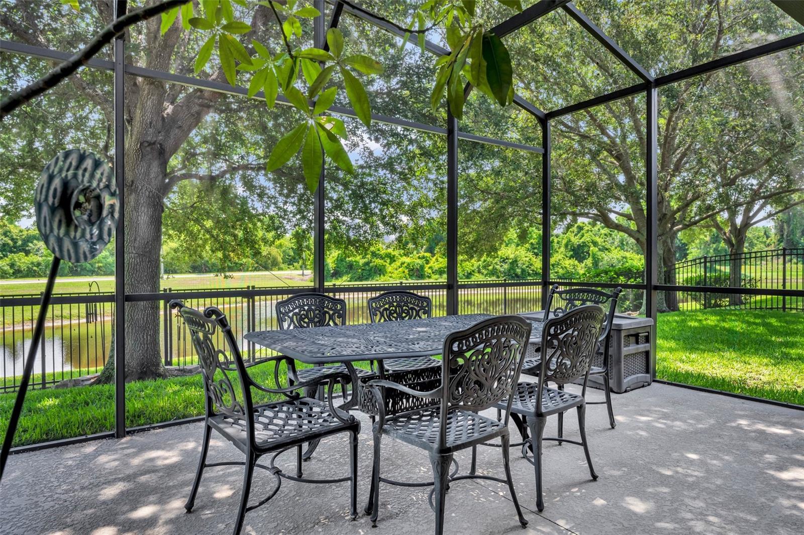 Image 20 of 46 For 369 Torgiano Drive