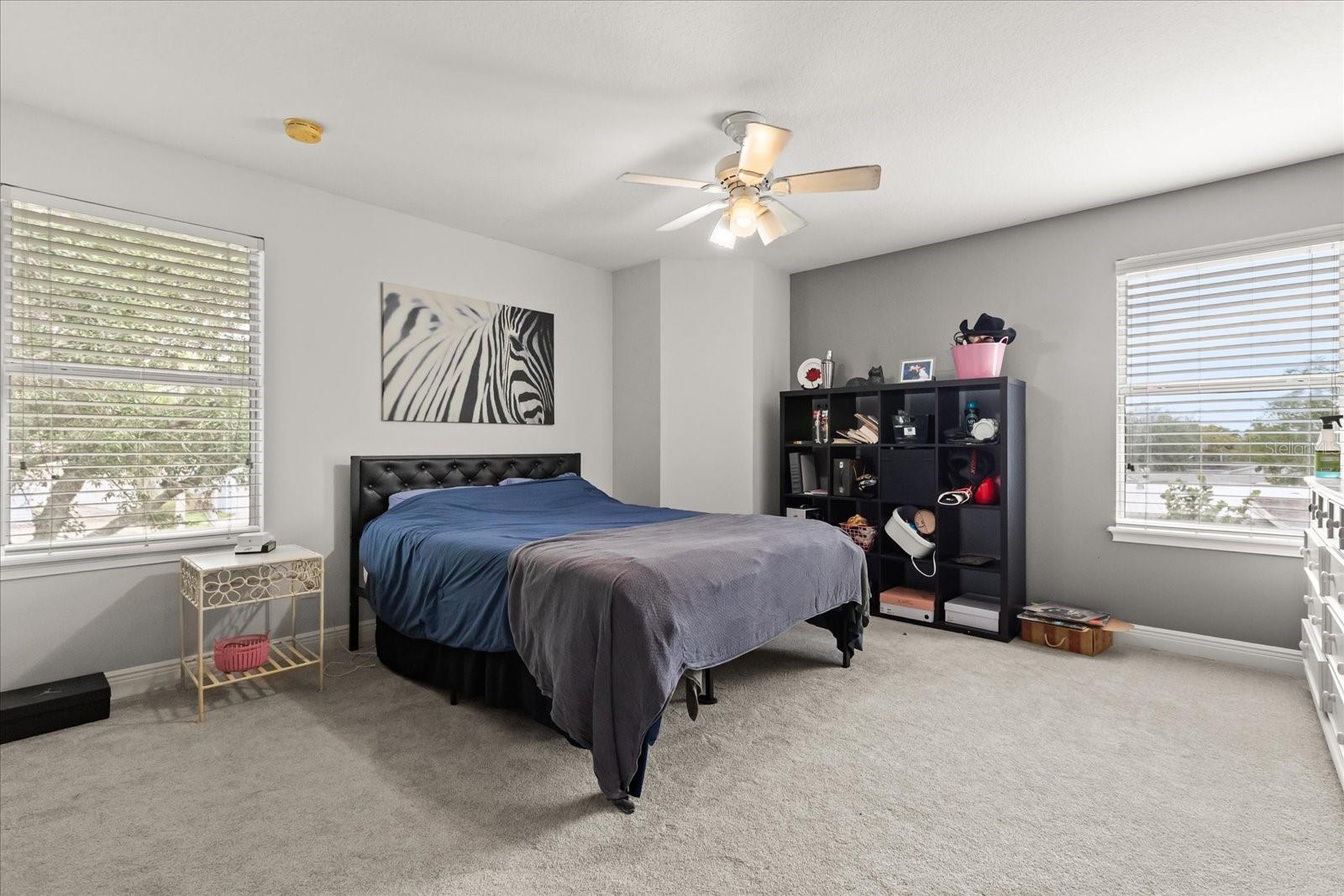 Image 27 of 51 For 141 Dommerich Drive