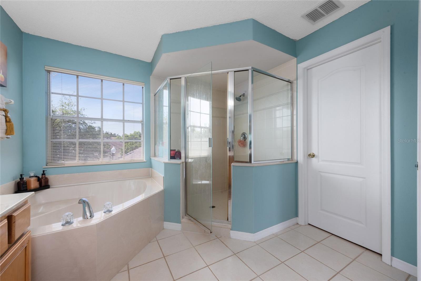 Image 27 of 36 For 5007 Bellthorn Drive