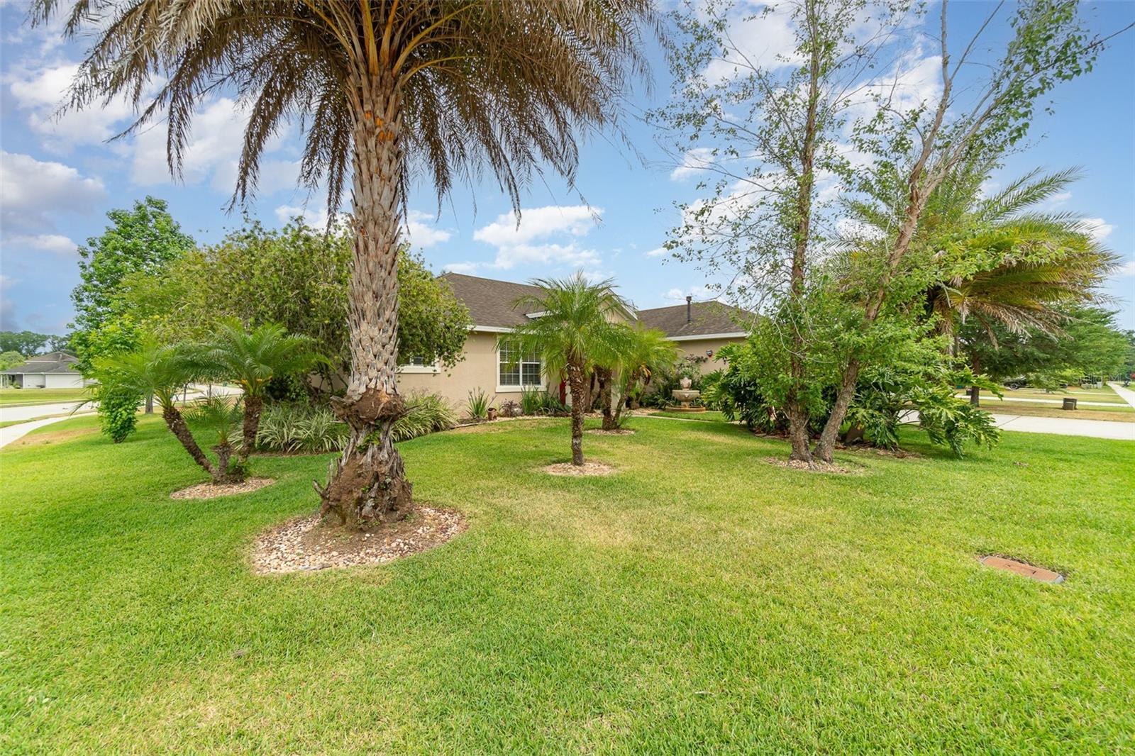 Image 7 of 32 For 611 Curly Fern Lane