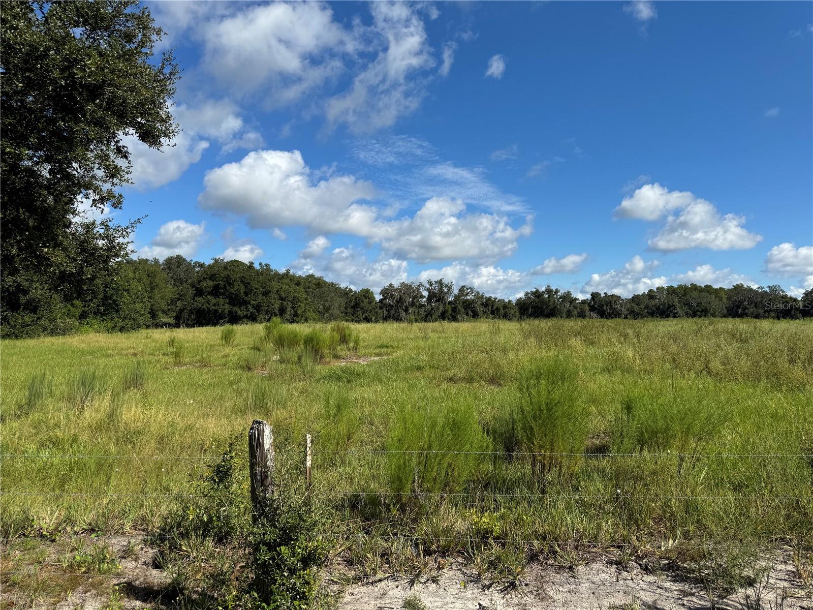 Image 12 of 21 For 8335 Florida Boys Ranch Road