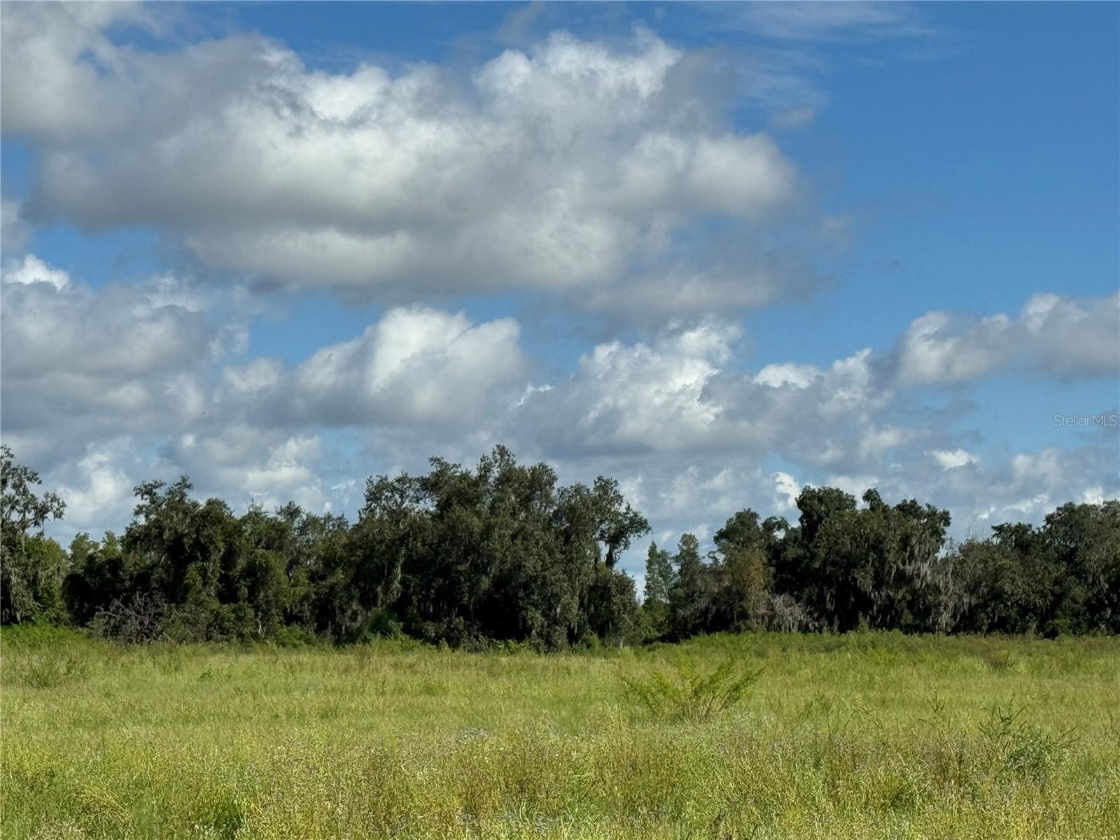 Image 16 of 21 For 8335 Florida Boys Ranch Road