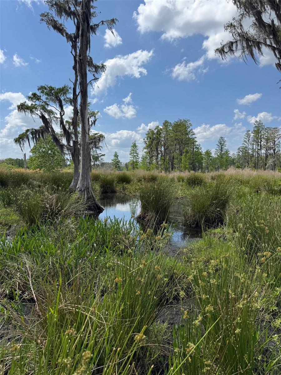 Image 8 of 8 For 8335 Florida Boys Ranch Road