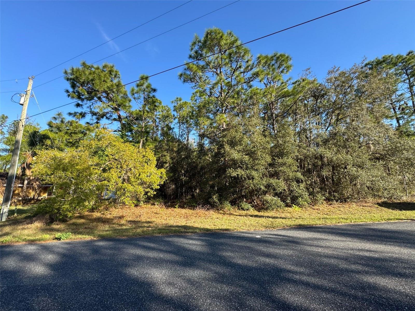 Details for 7896 Triana Drive, CITRUS SPRINGS, FL 34434