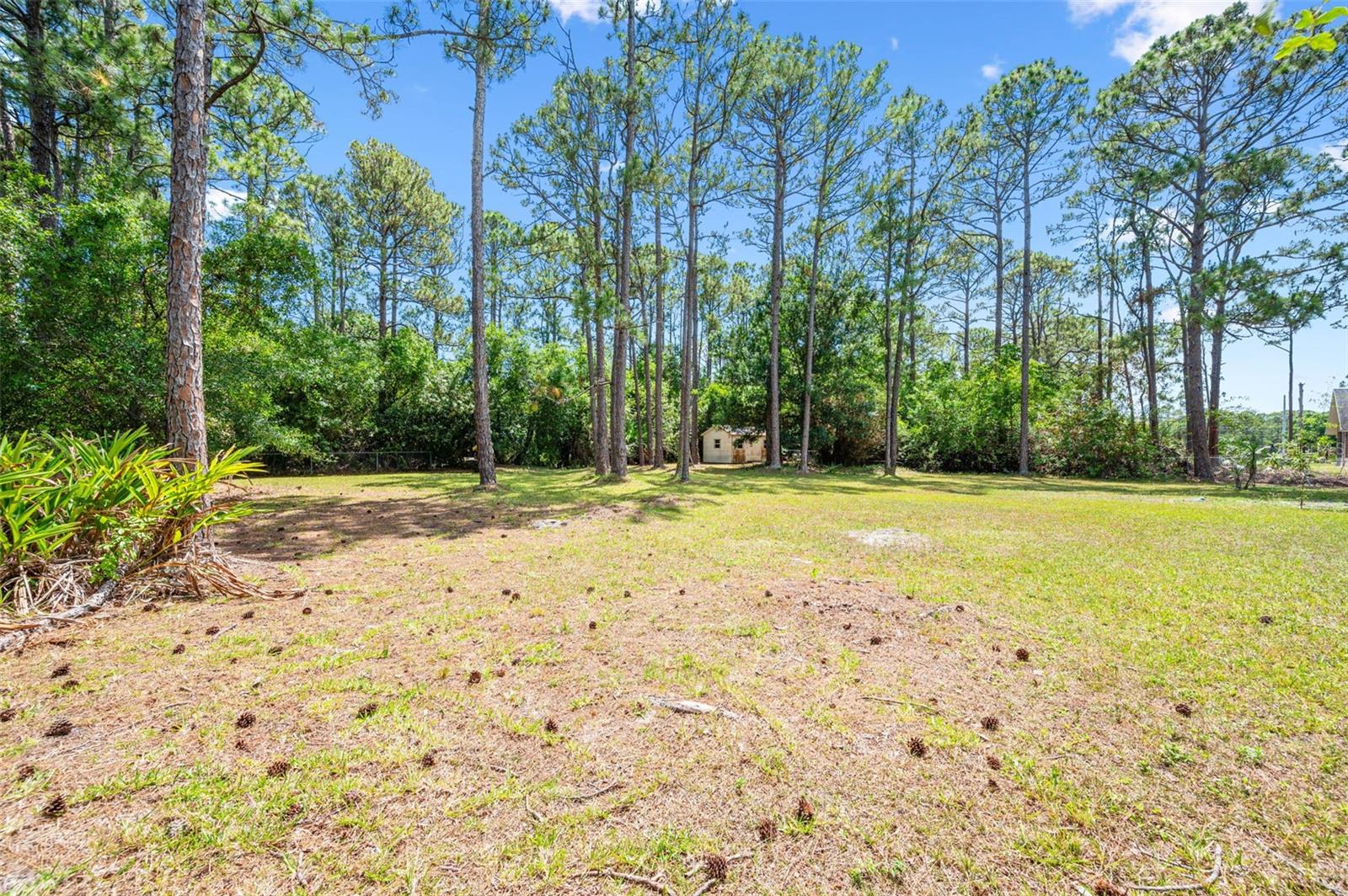 Image 7 of 39 For 4206 Hield Road Nw