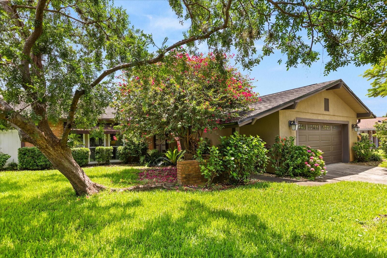 Image 2 of 43 For 1247 Rosemary Drive
