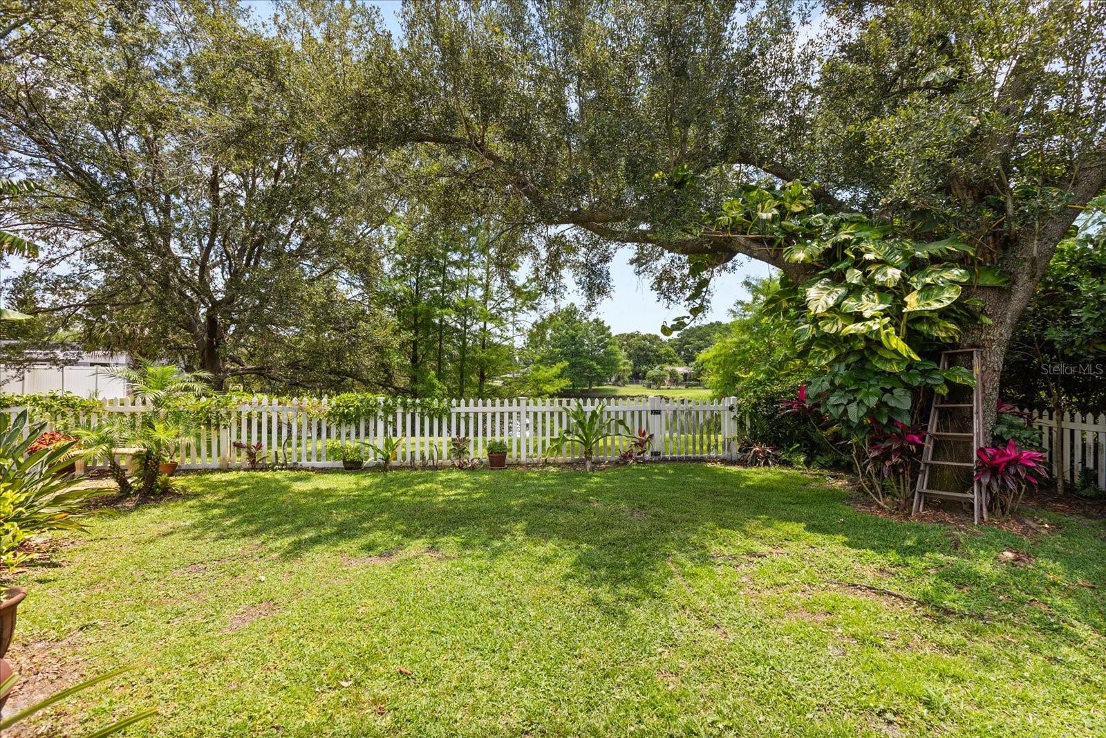 Image 37 of 43 For 1247 Rosemary Drive