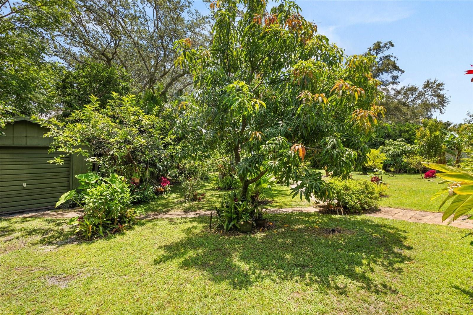 Image 38 of 43 For 1247 Rosemary Drive