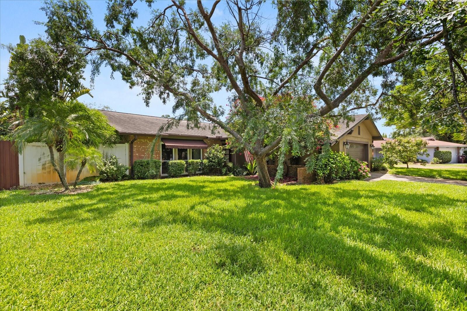 Image 43 of 43 For 1247 Rosemary Drive