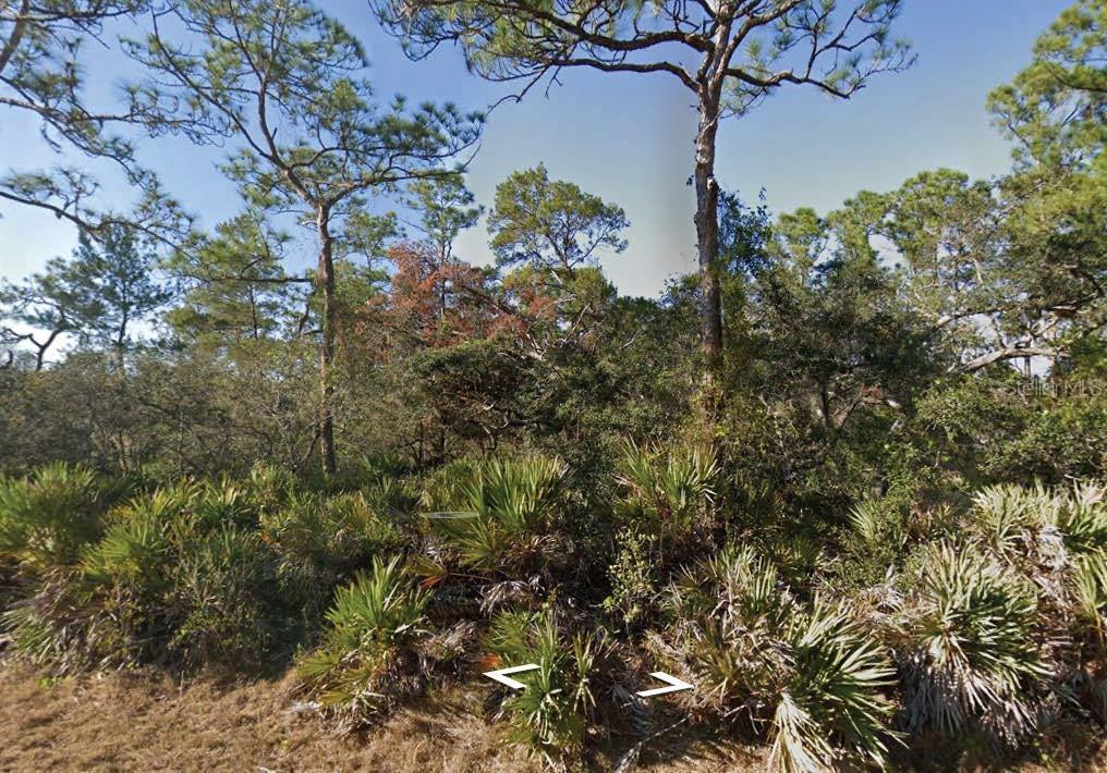 Listing Details for 3249 Glen Springs Avenue, LAKE PLACID, FL 33852