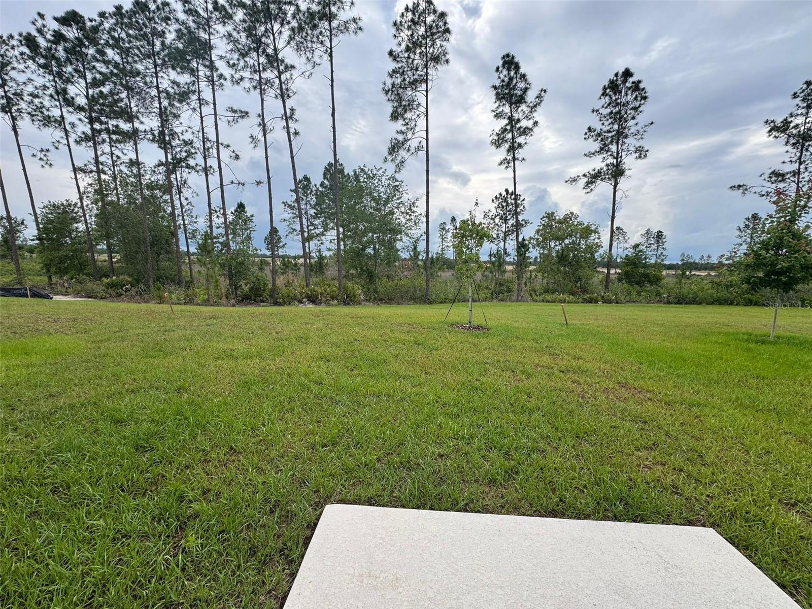 Image 36 of 36 For 37314 Sagemoor Drive