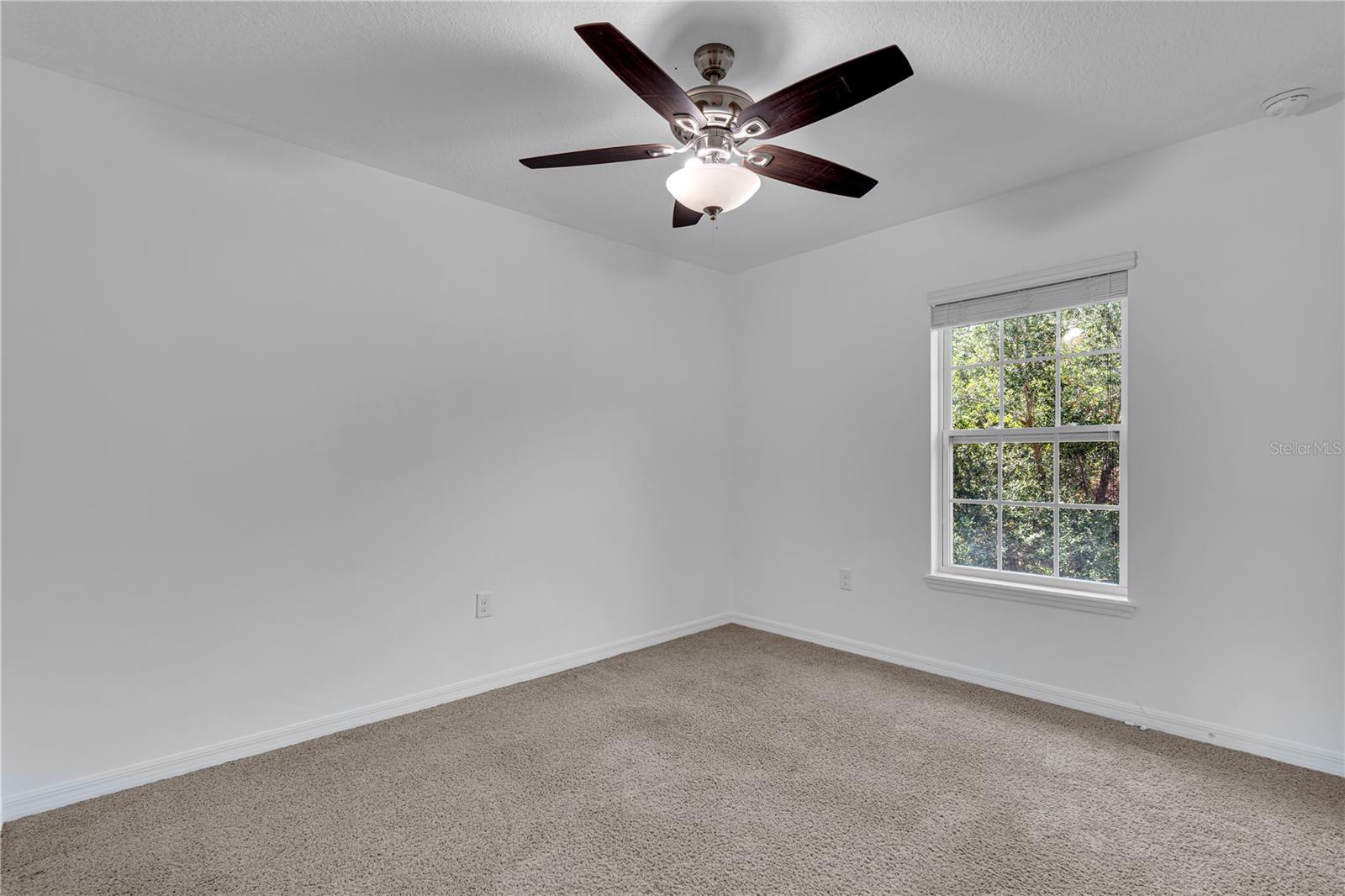 Image 19 of 35 For 4450 Capital Boulevard