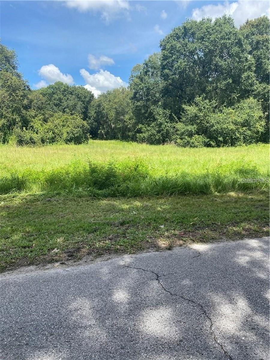 Listing Details for 1308 Alsobrook Street, PLANT CITY, FL 33563