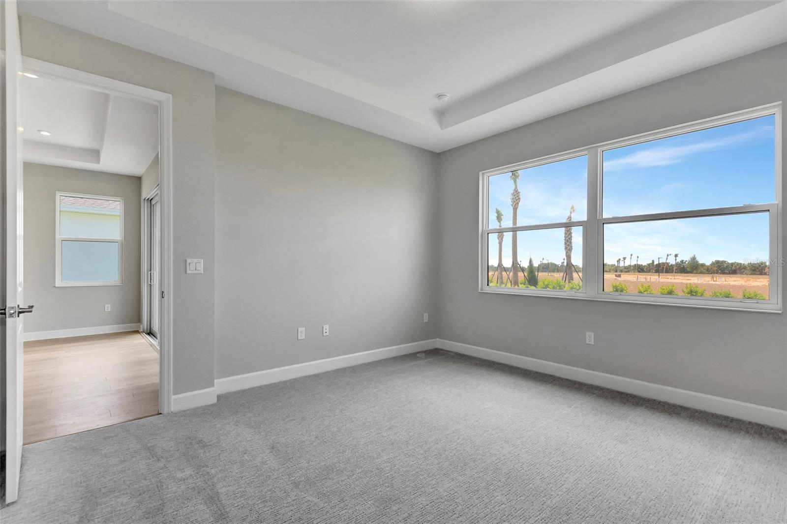 Listing photo id 10 for 1459 Santorini Way