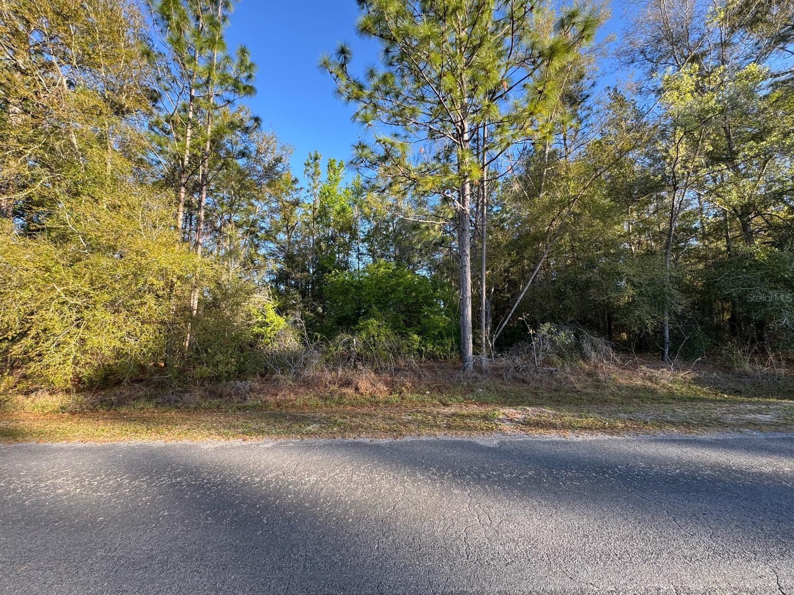 Details for 7898 Pocono Drive, CITRUS SPRINGS, FL 34434