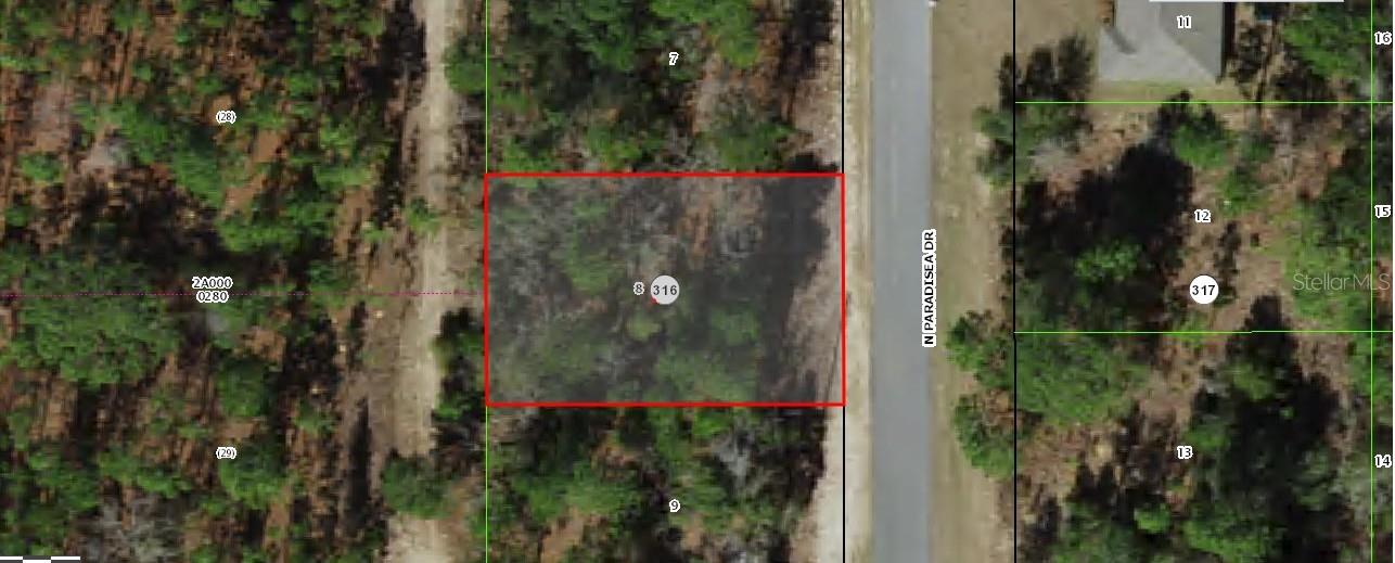 Details for 9120 Paradisea Drive, CITRUS SPRINGS, FL 34433