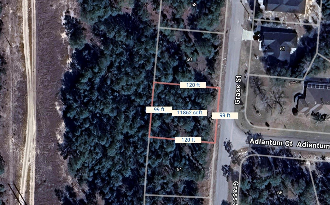 Details for 62 Grass Street, HOMOSASSA, FL 34446