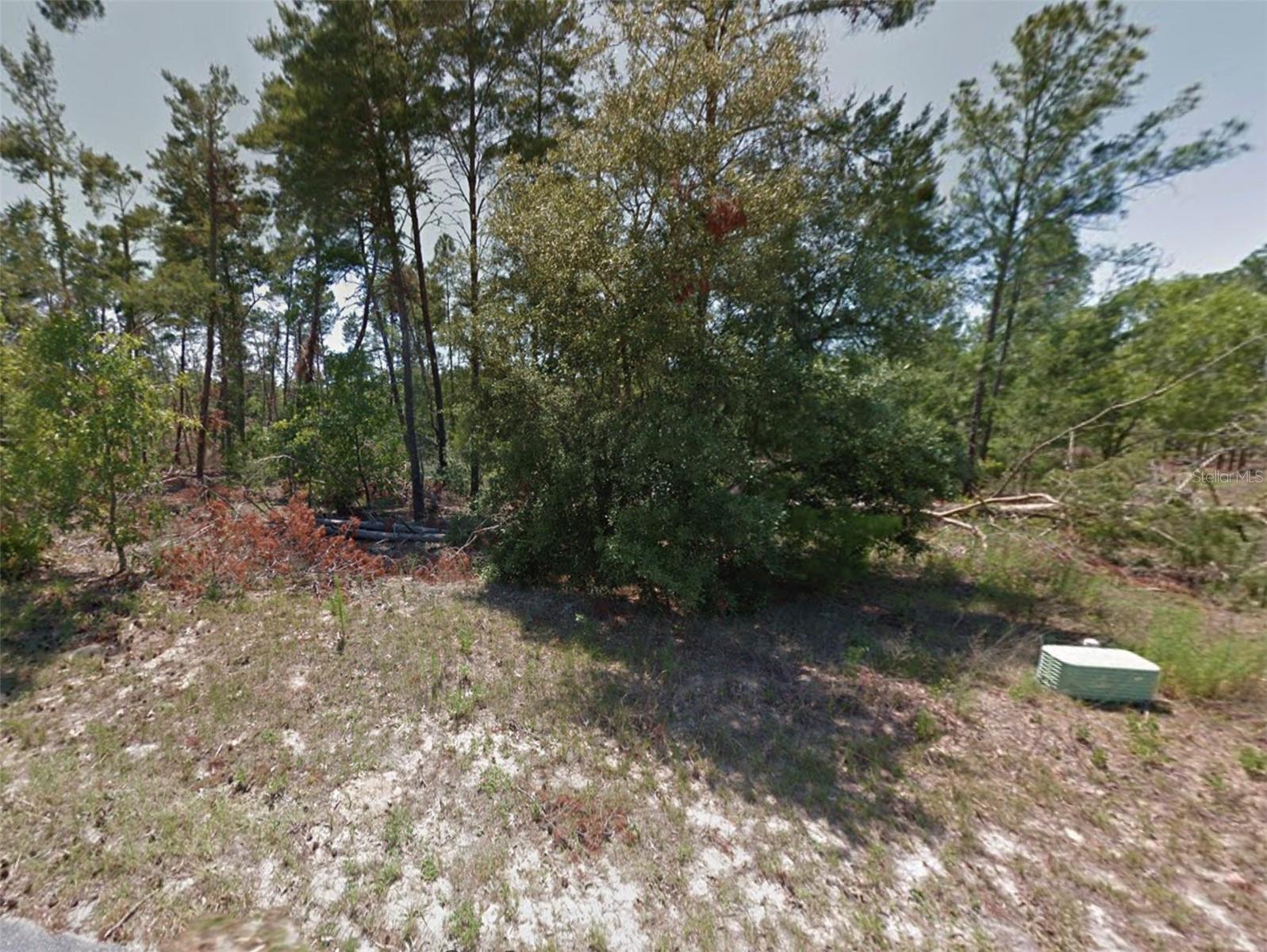 Listing photo id 1 for 62 Grass Street