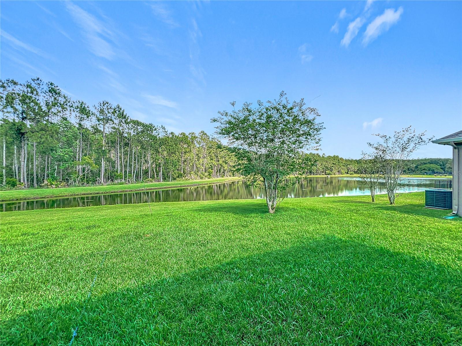 Image 45 of 54 For 9942 Sweetleaf Street