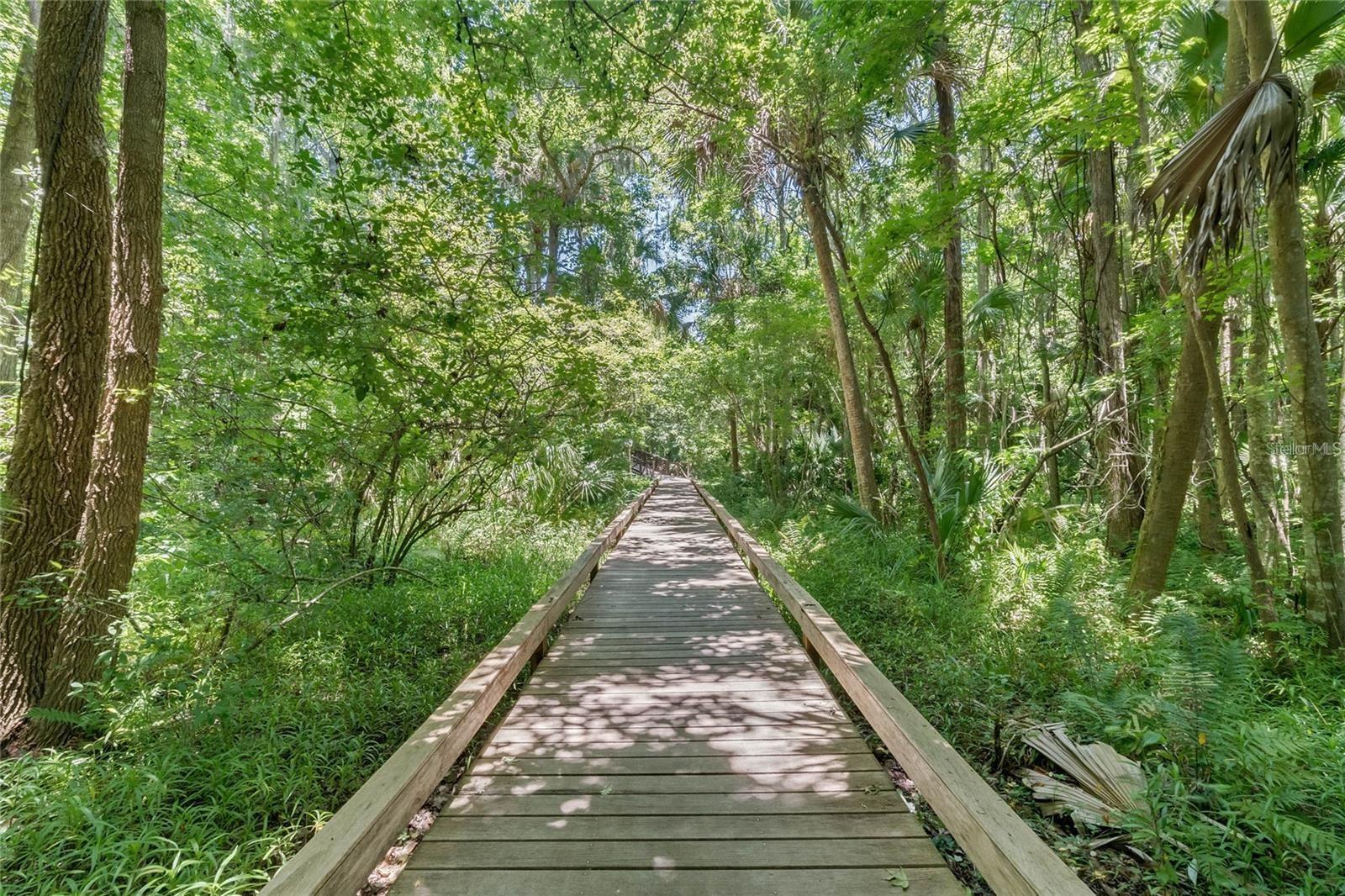 Image 17 of 29 For 115 Tomoka Trail 115