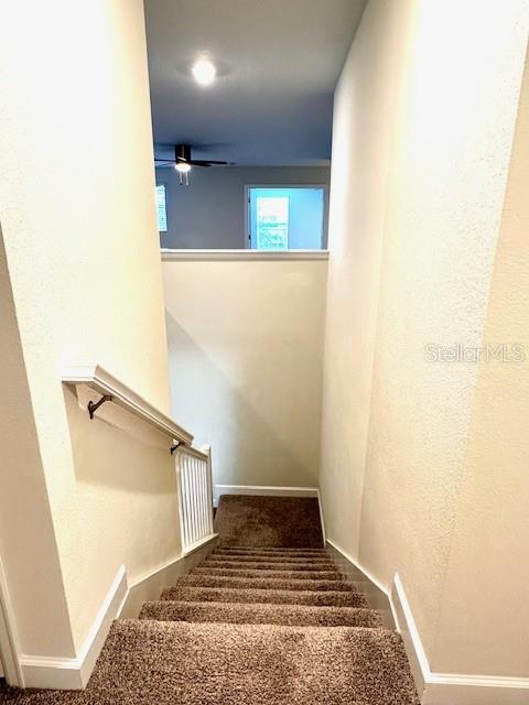 Image 36 of 50 For 1513 Maidstone Court