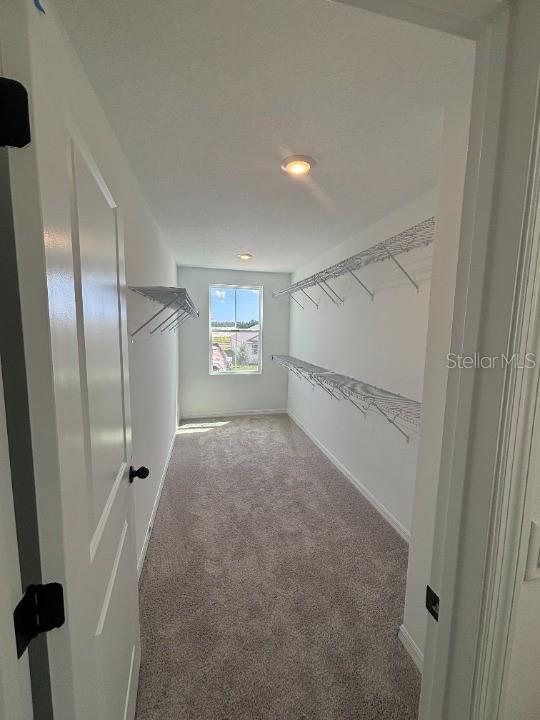 Image 36 of 41 For 710 Junonia Blvd