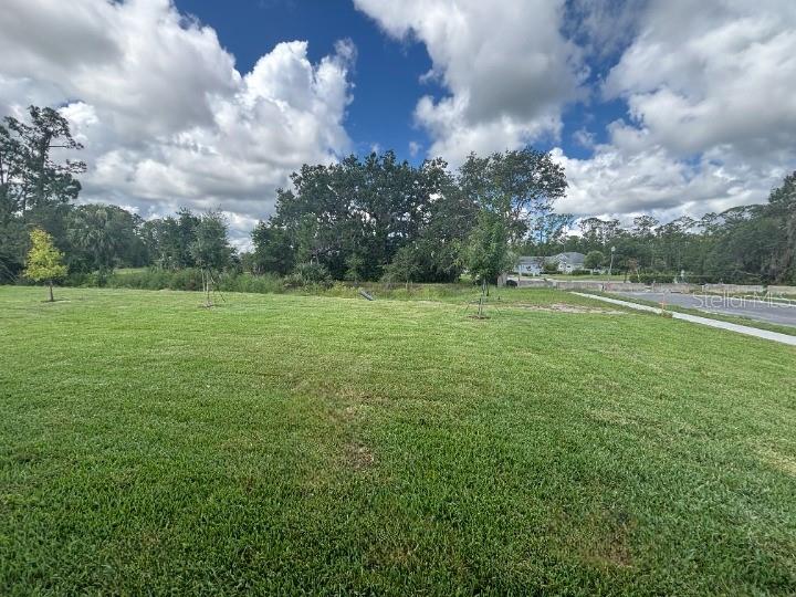 Image 37 of 41 For 710 Junonia Blvd