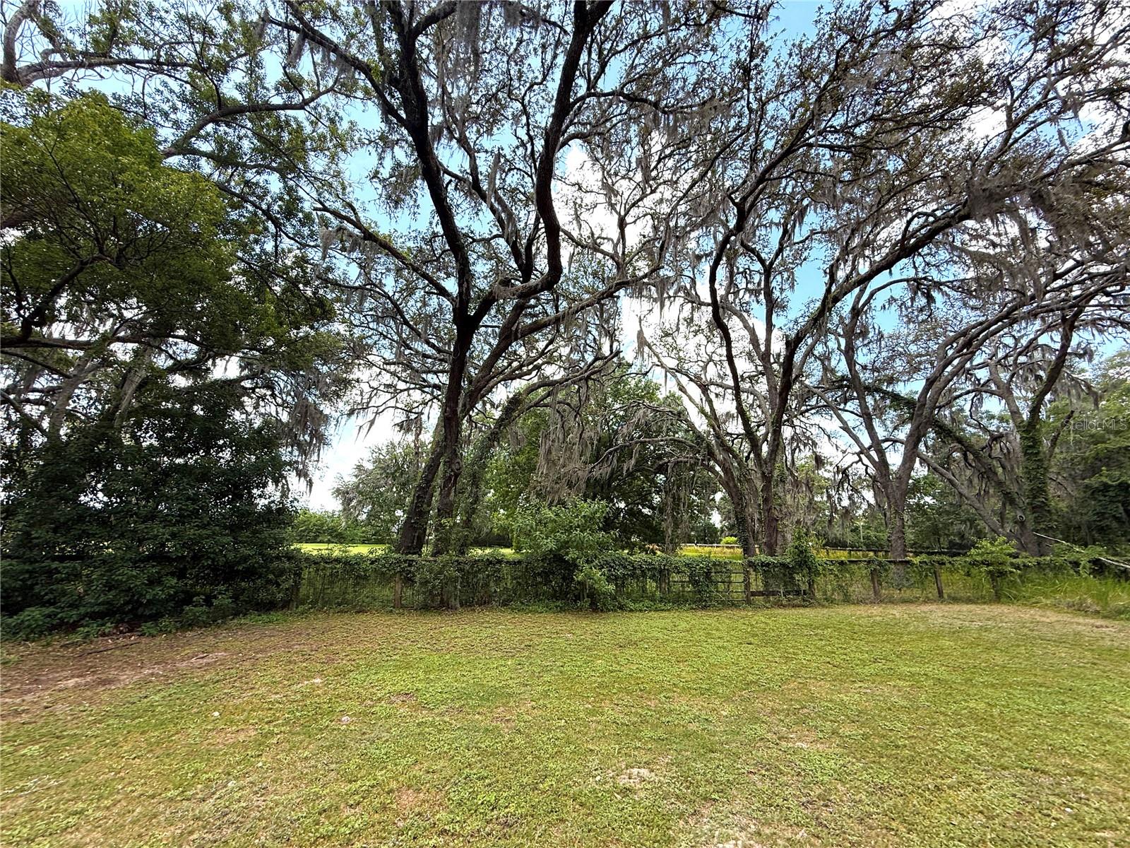 Image 45 of 59 For 7119 80th Avenue