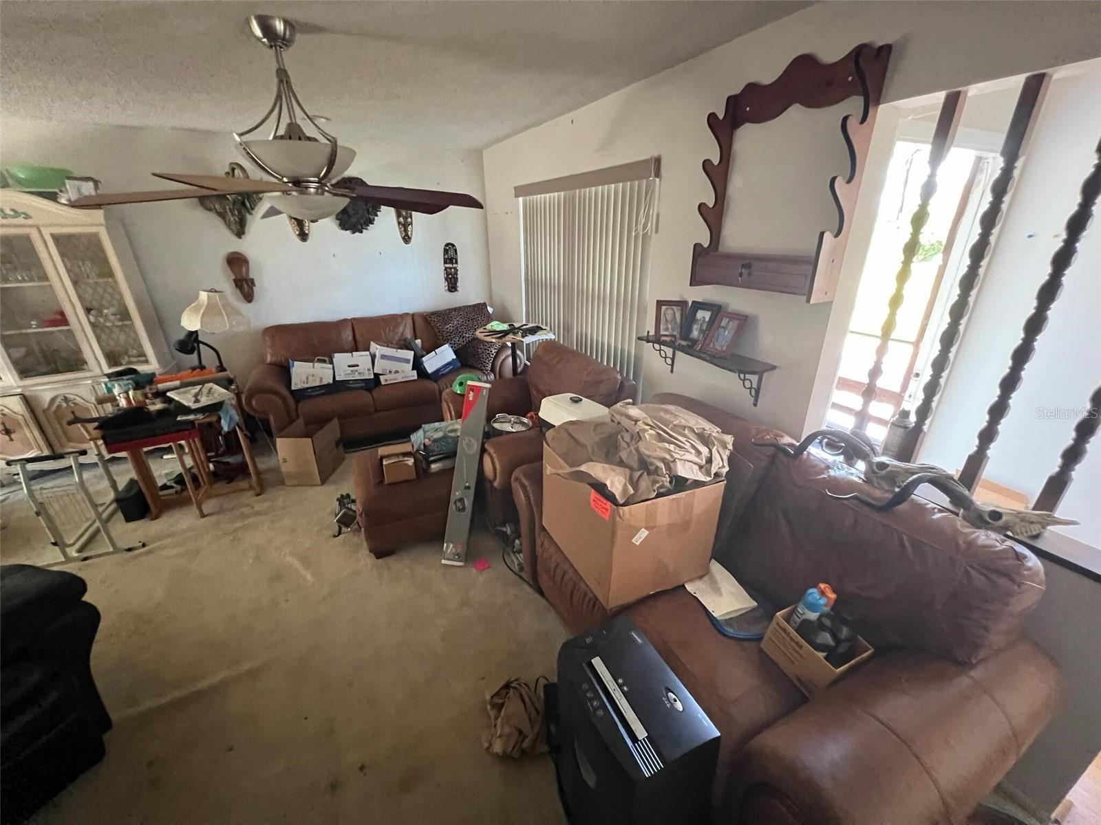 Image 11 of 20 For 359 Orchid Drive