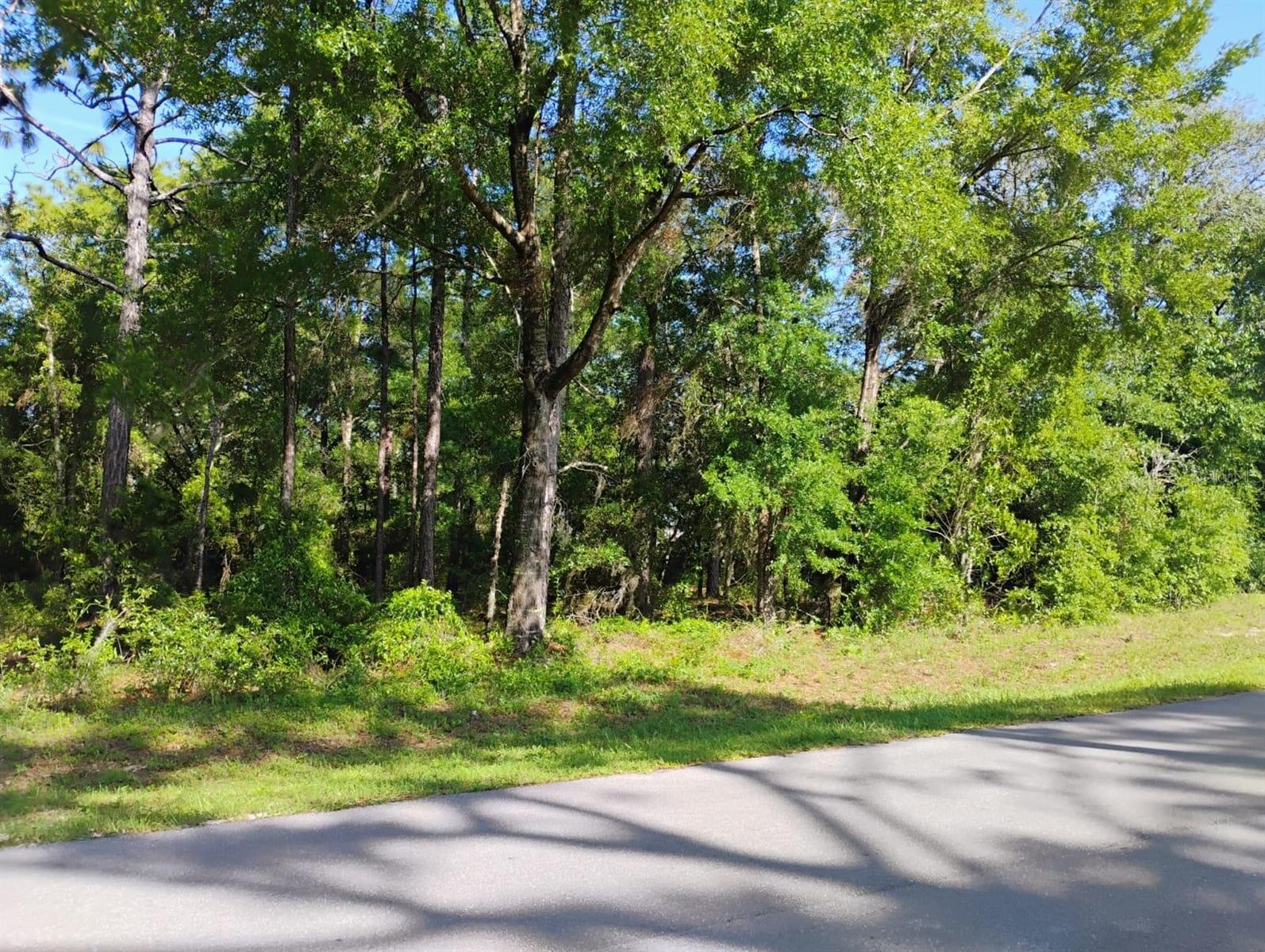 Details for 0 11 Street , WILLISTON, FL 32696