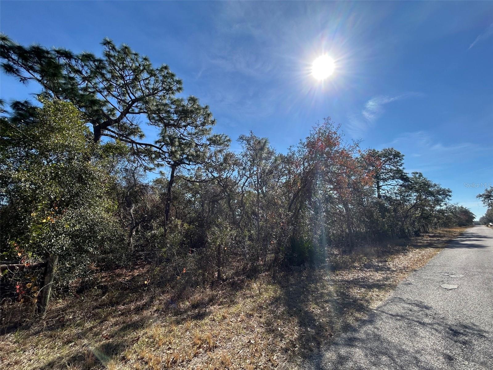 Image 6 of 8 For 9940 Black Bear Lane