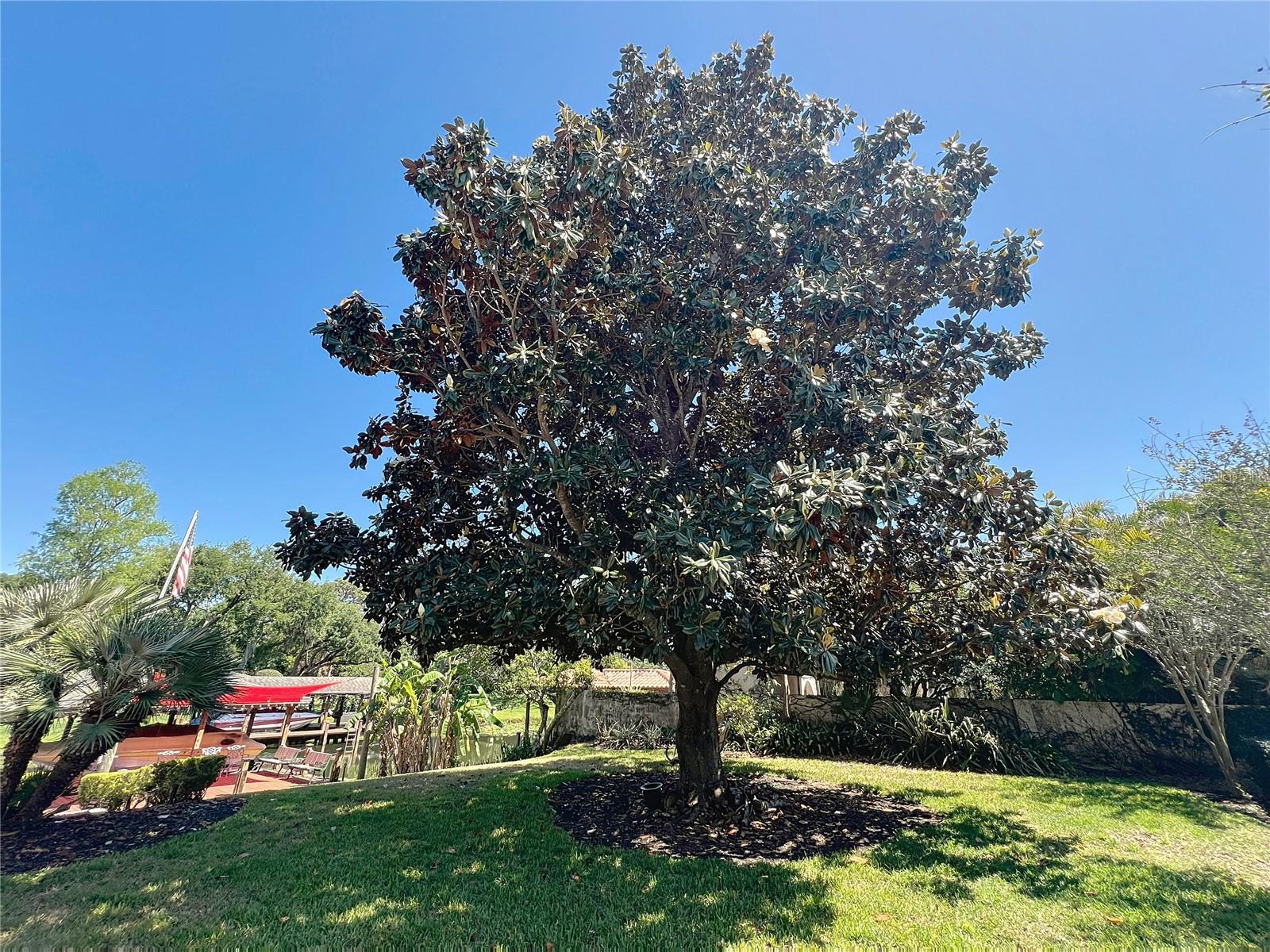 Image 65 of 96 For 5127 Leeward Way