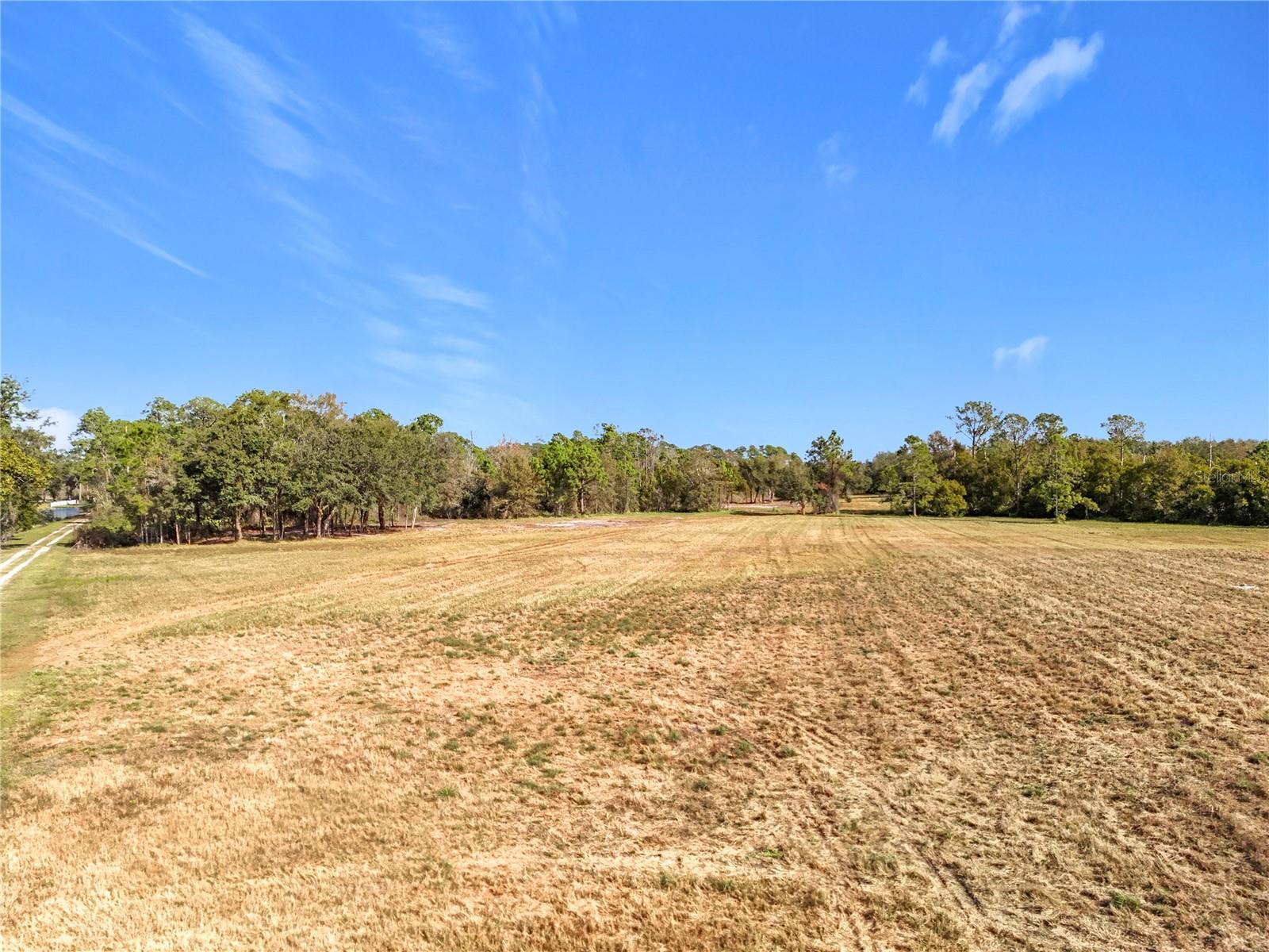 Image 11 of 29 For Pine Island Road