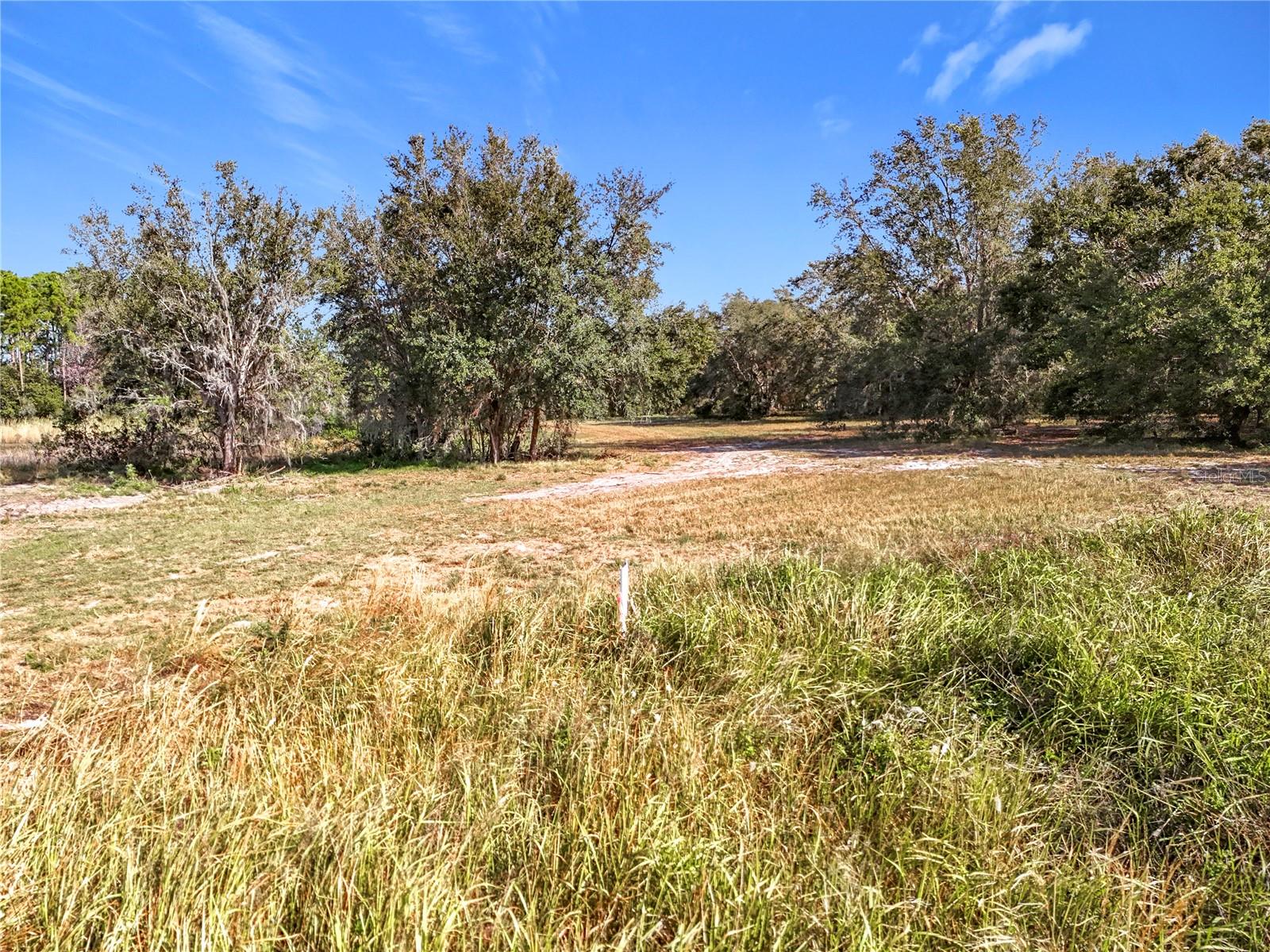 Image 12 of 29 For Pine Island Road