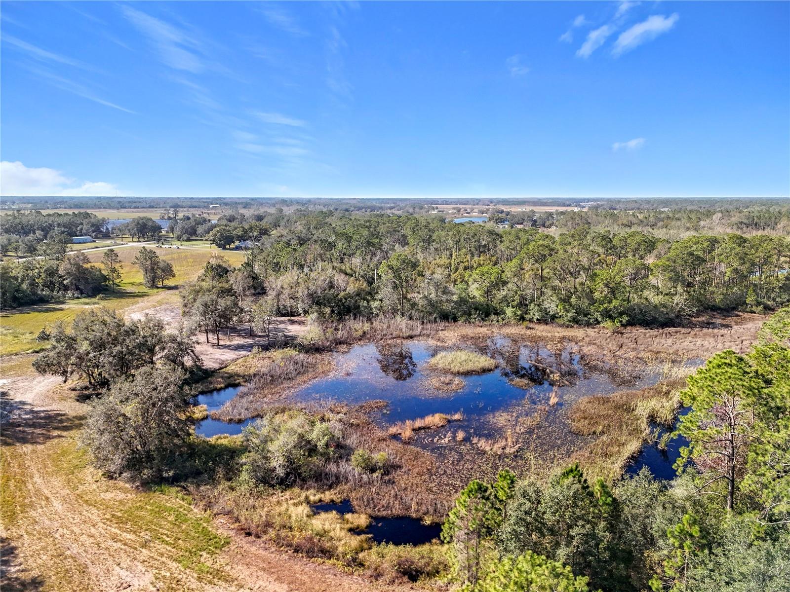 Image 19 of 29 For Pine Island Road