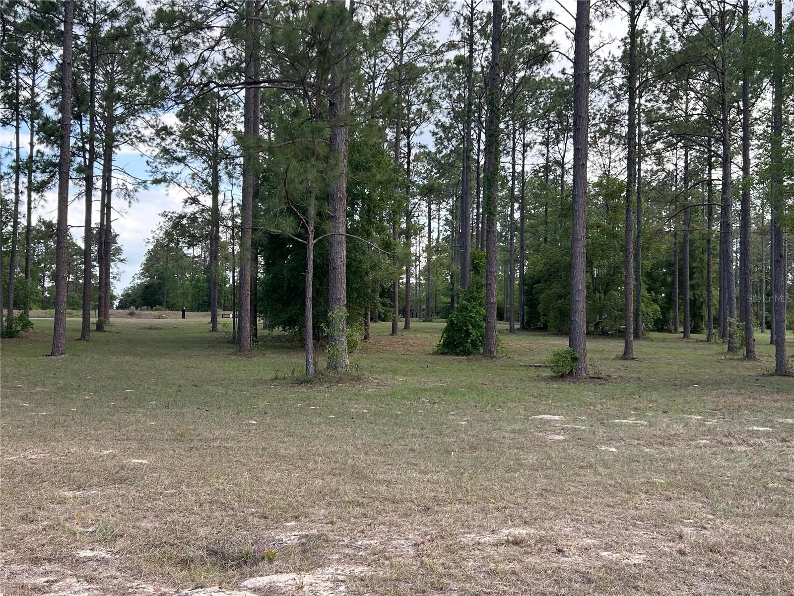 Details for 35135 Pinegate Trail, EUSTIS, FL 32736