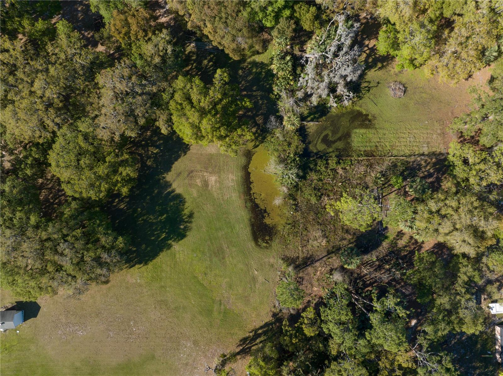 Image 11 of 13 For 372 Carpenter Avenue