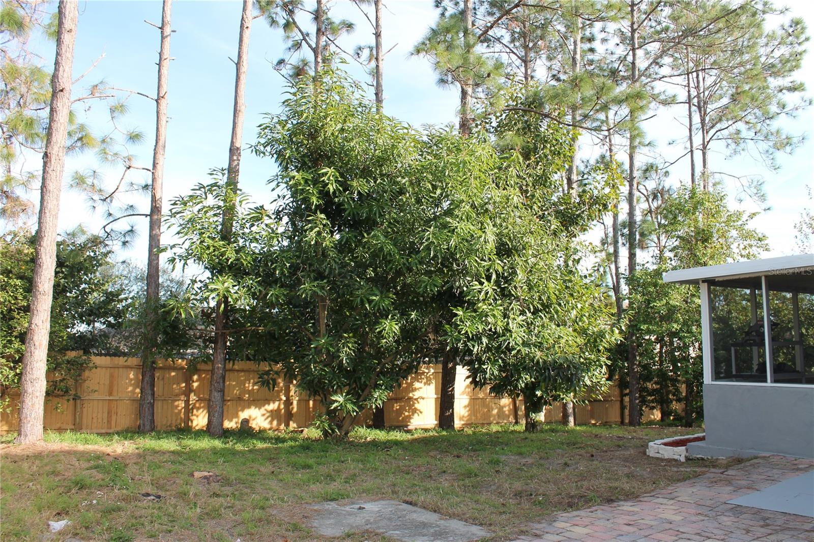 Image 6 of 14 For 15738 Switch Cane Street