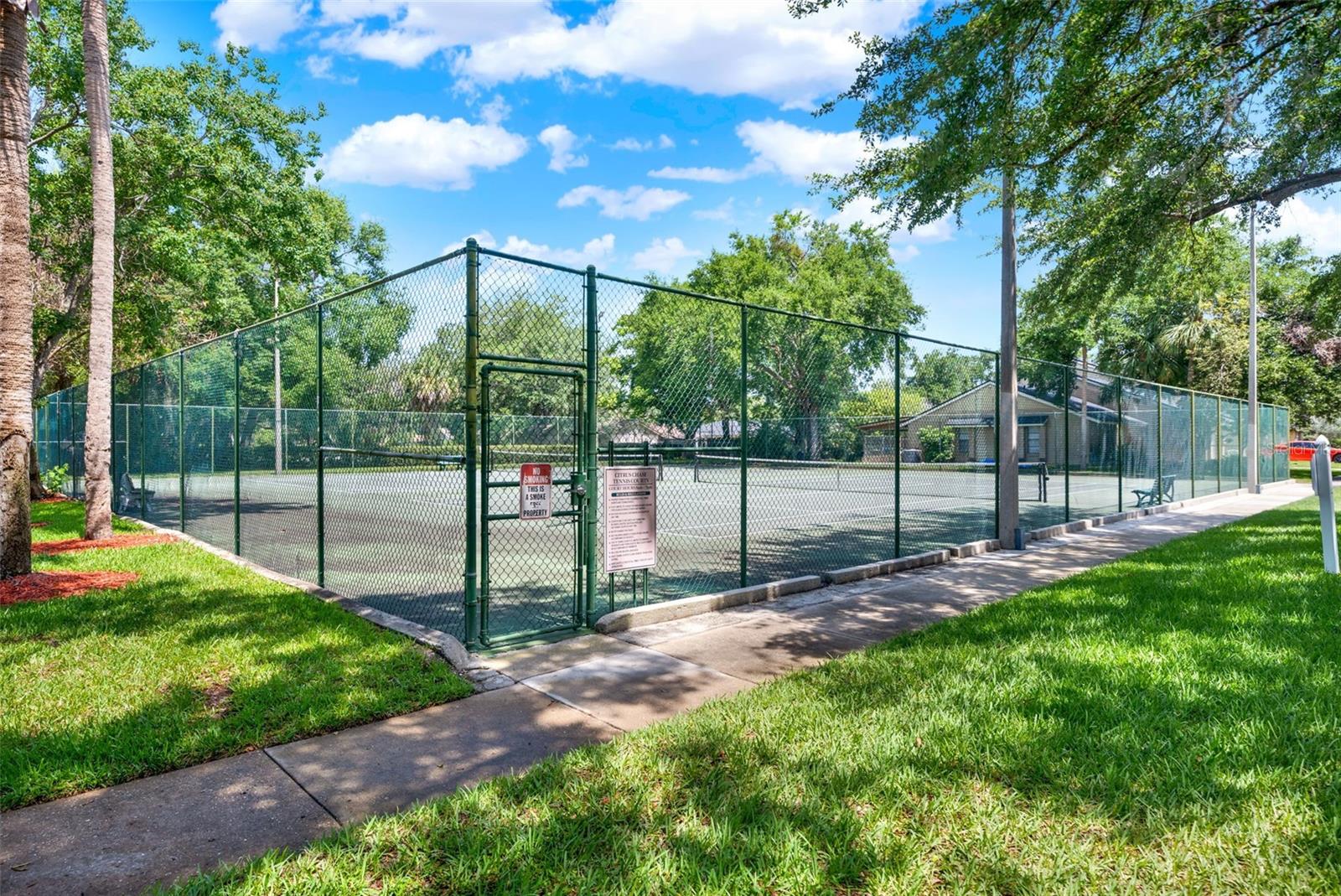 Image 24 of 25 For 8248 Limetree Court