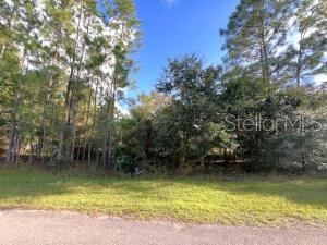 Details for 405 Pandora Drive, INDIAN LAKE ESTATES, FL 33855
