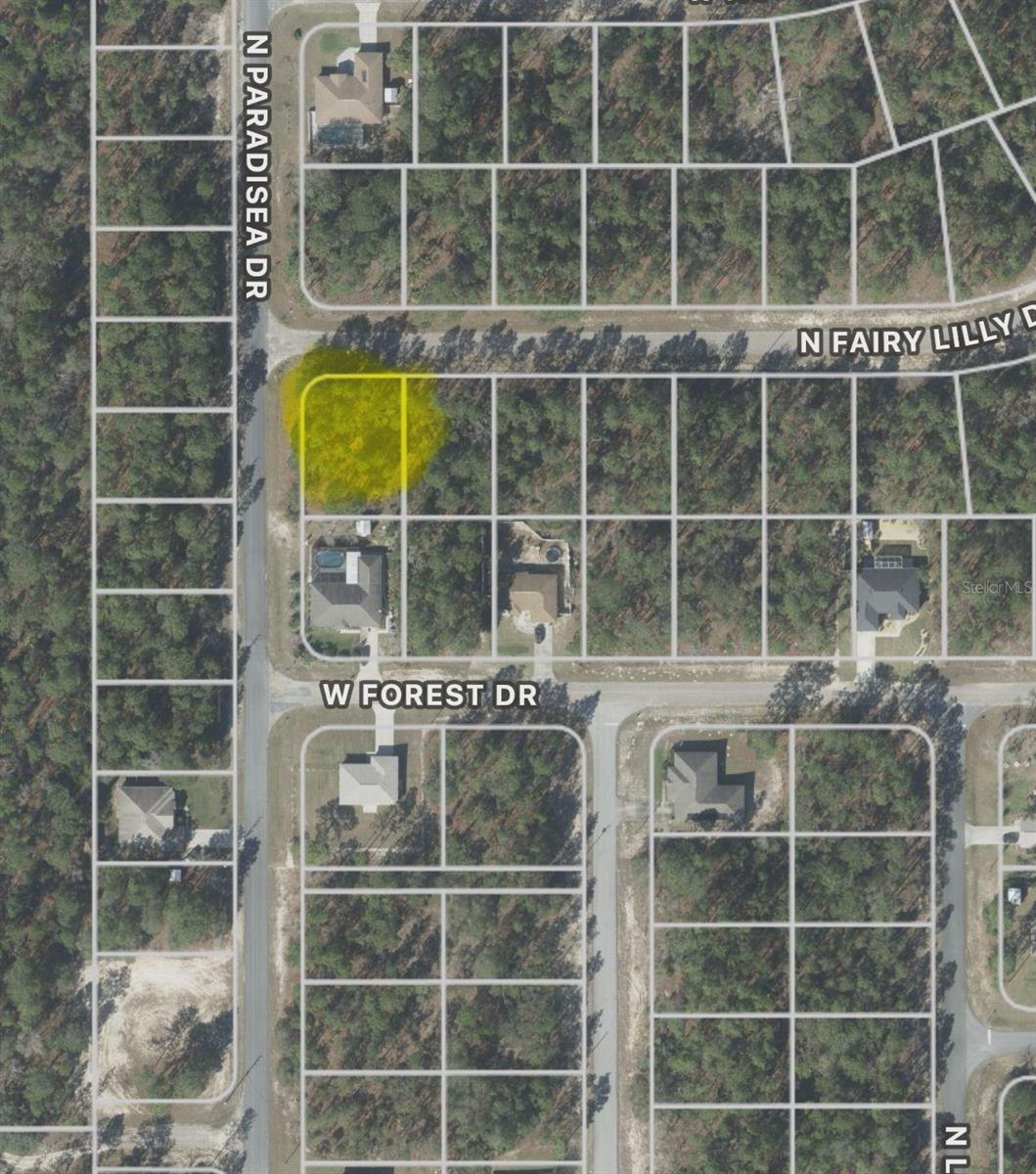 Details for 9309 Fairy Lilly Drive, CITRUS SPRINGS, FL 34433