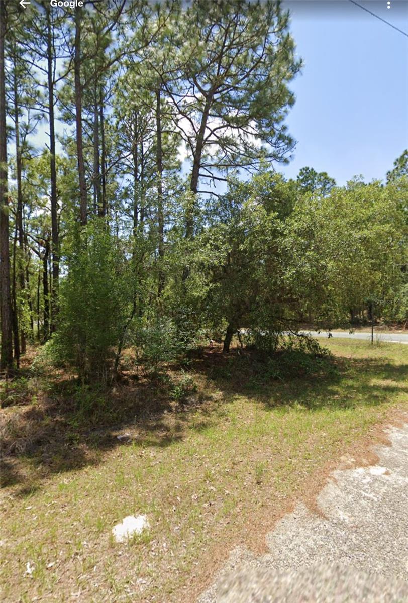 Image 3 of 3 For 9309 Fairy Lilly Drive
