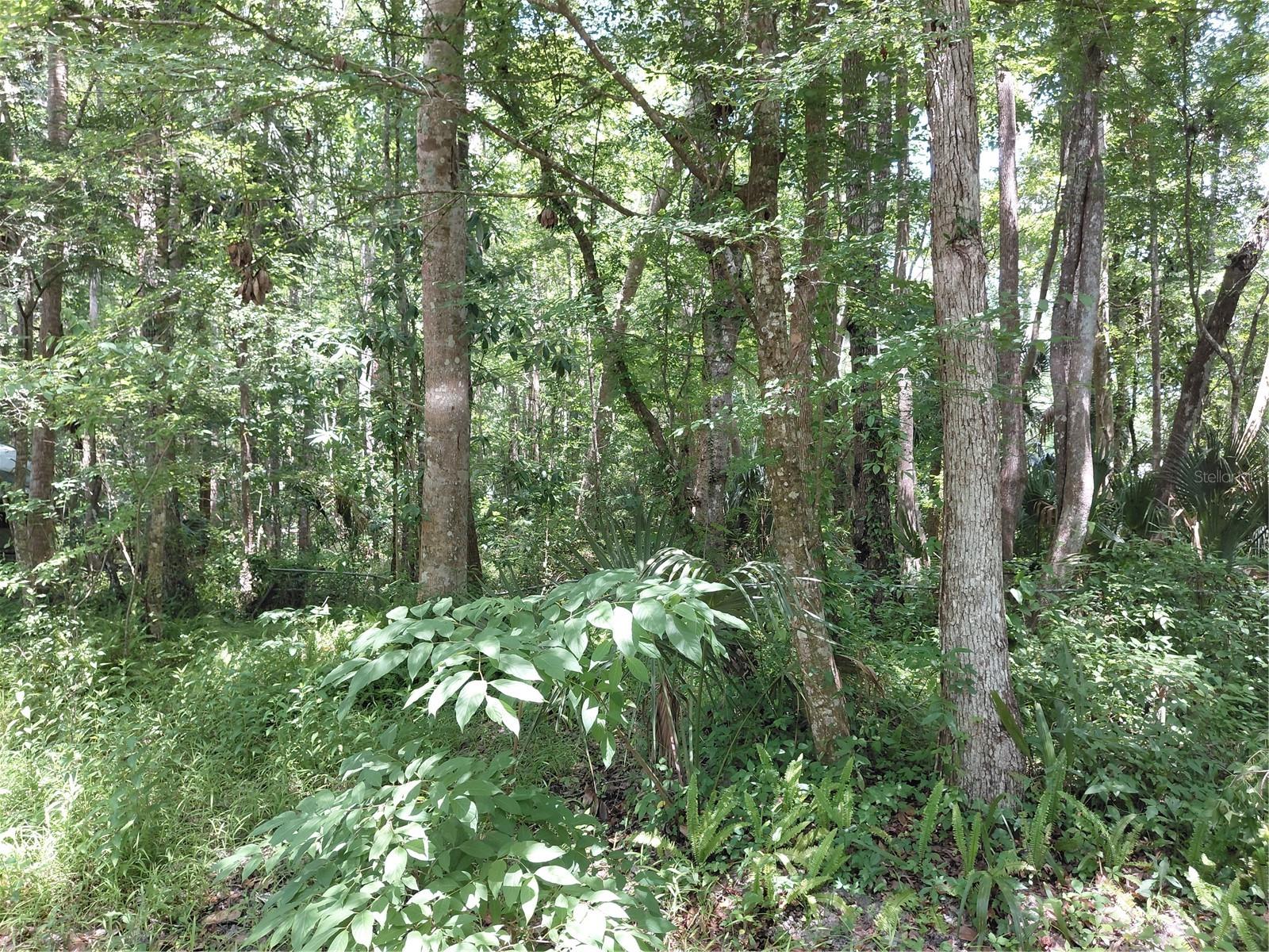 Image 3 of 3 For  River Road 