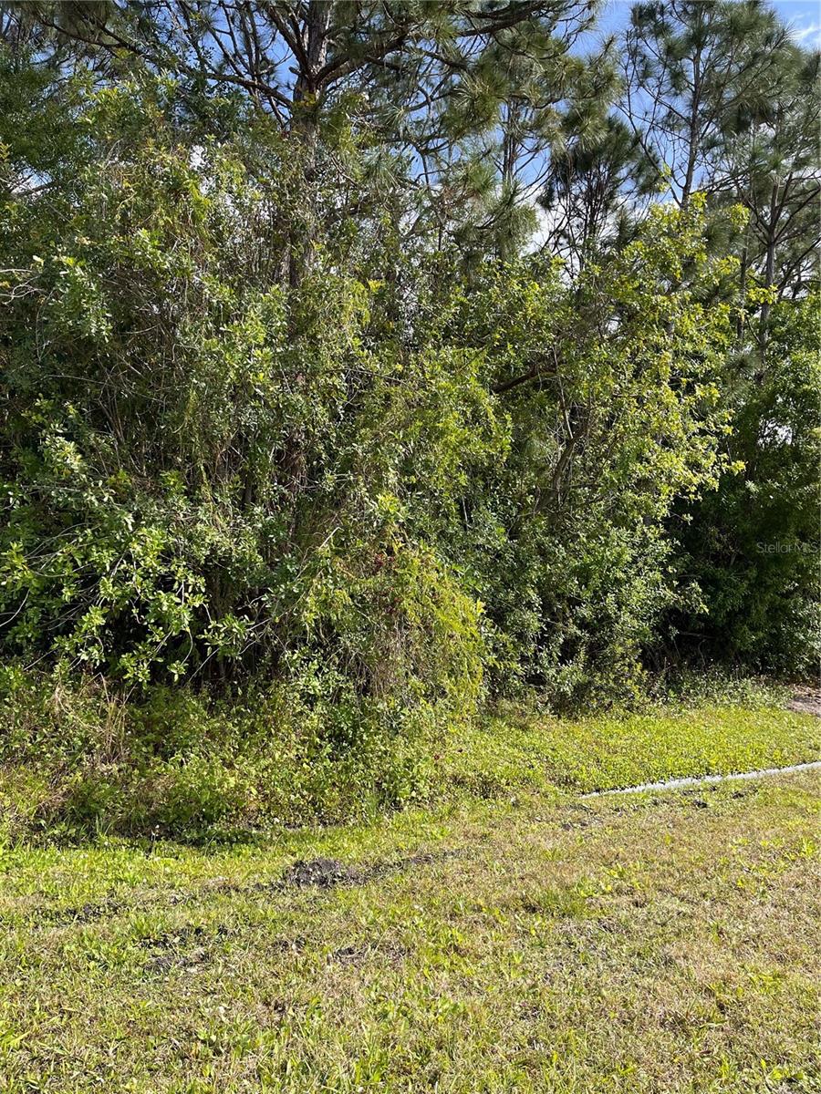 Listing Details for 3357 & 3367 Monteverde Avenue Sw, PALM BAY, FL 32908