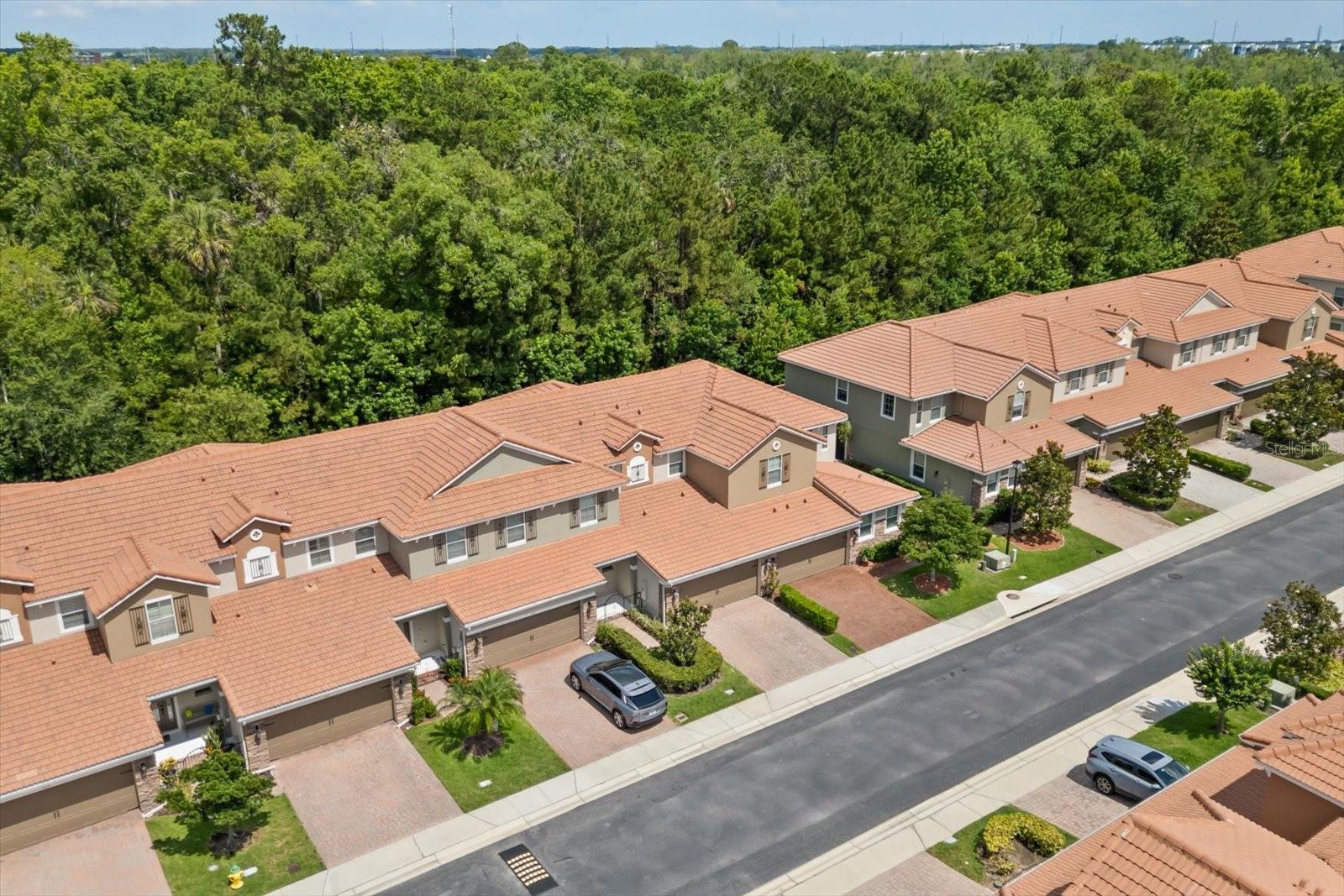 Image 32 of 35 For 299 Terracina Drive
