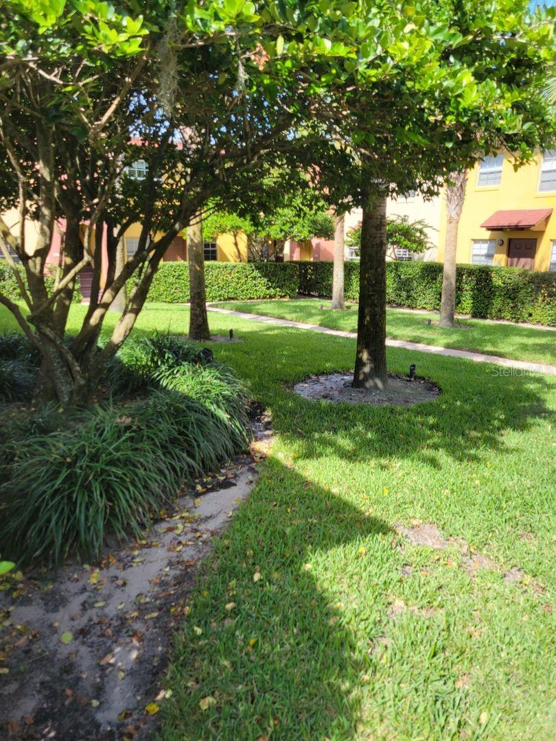 Image 2 of 14 For 1521 Catherine Street 16