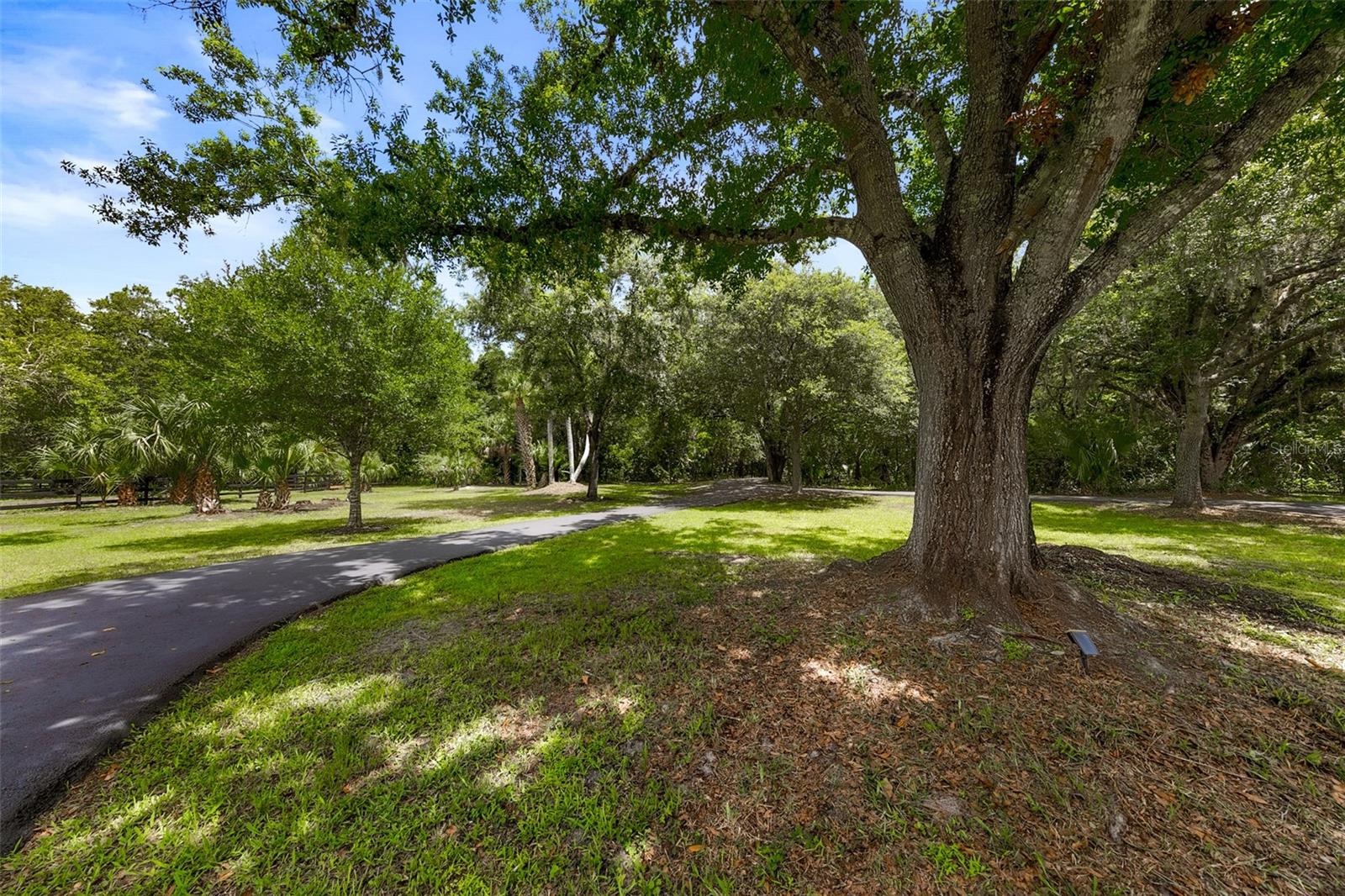 Image 48 of 88 For 2326 Florida Avenue